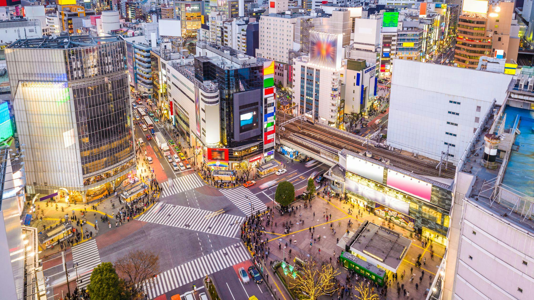 Explore Shibuya Crossing