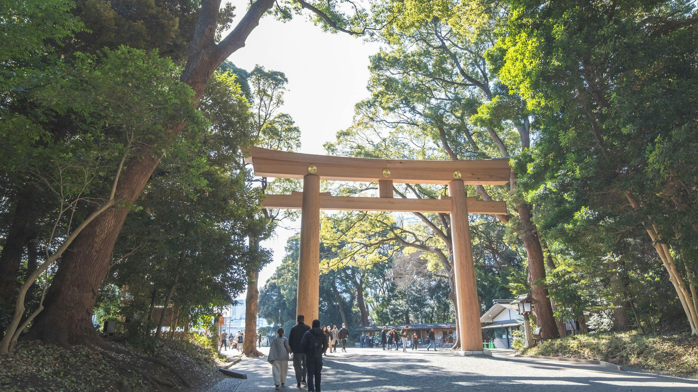 Discover Meiji Shrine