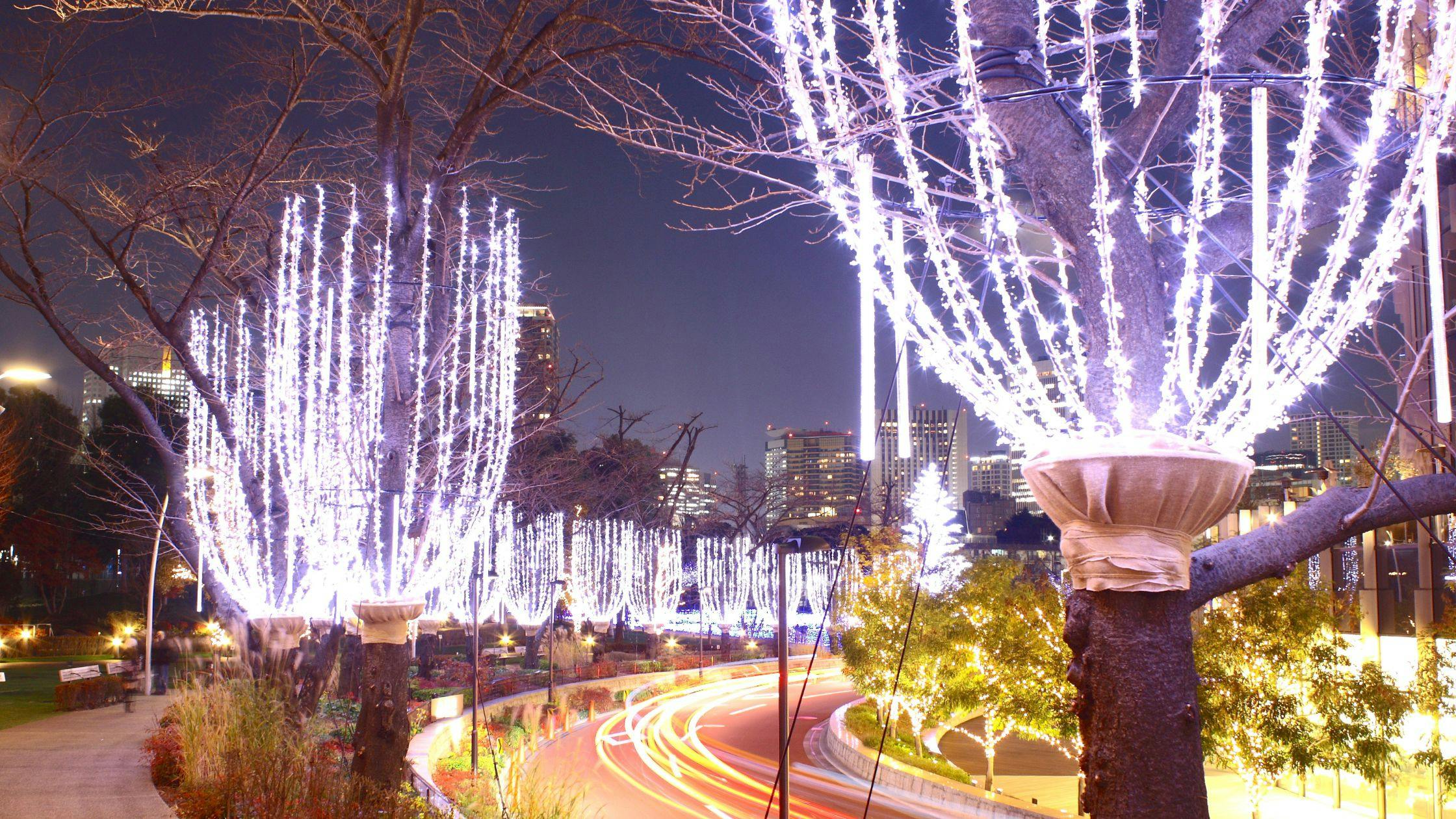 Experience Nightlife in Roppongi