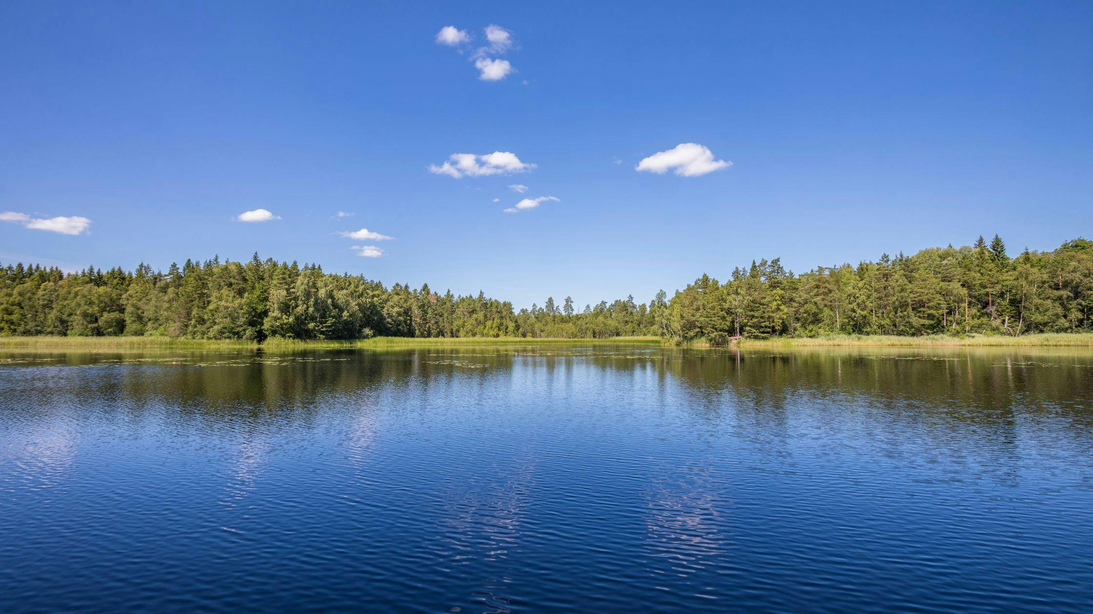 Lake Balkhash