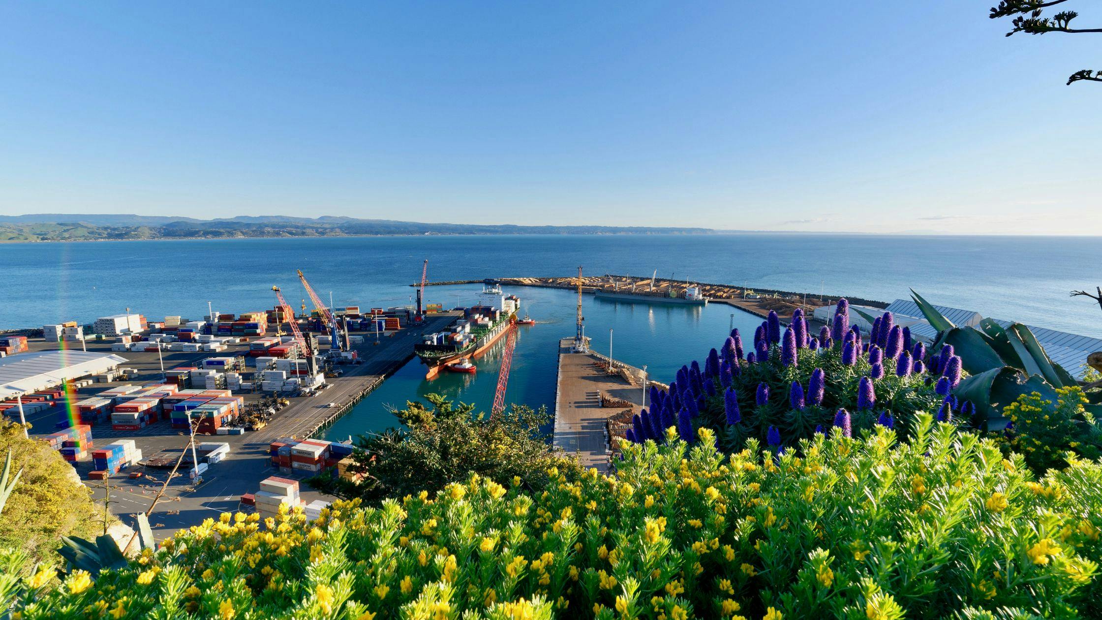 Napier – Art Deco Architecture & Wine Tours