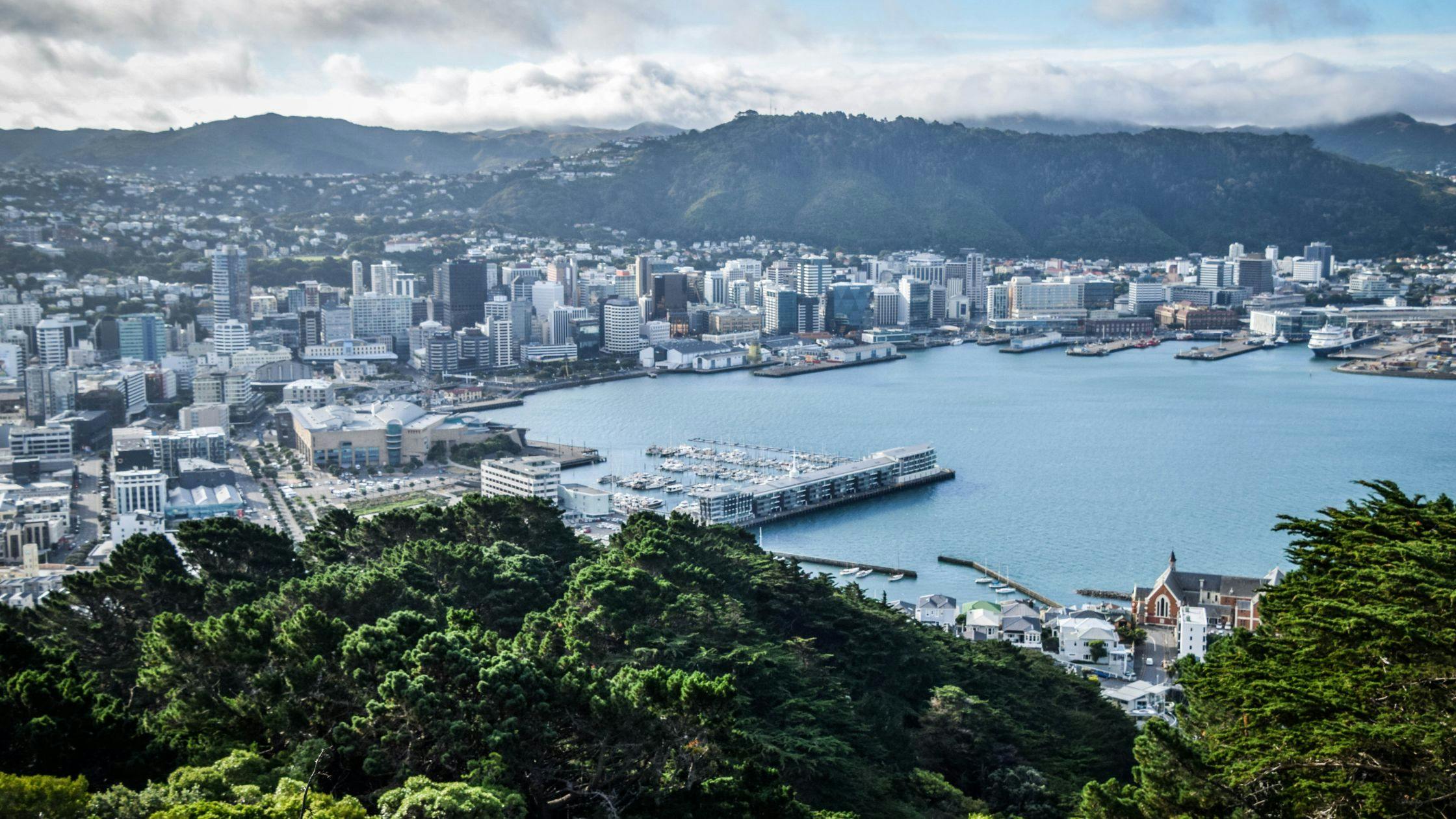 Wellington City & Te Papa Museum