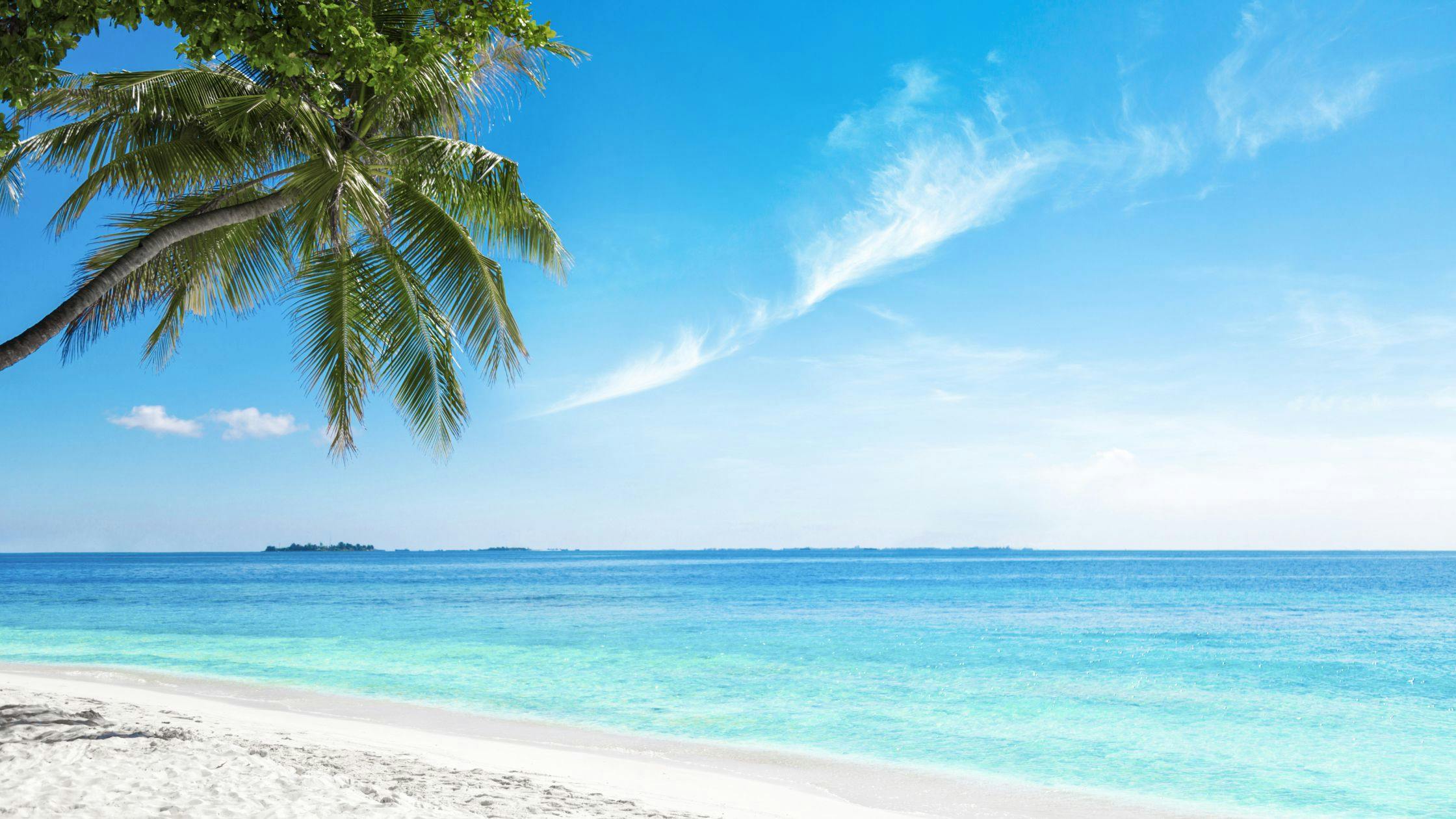 Suva – Fiji’s Cultural Heart