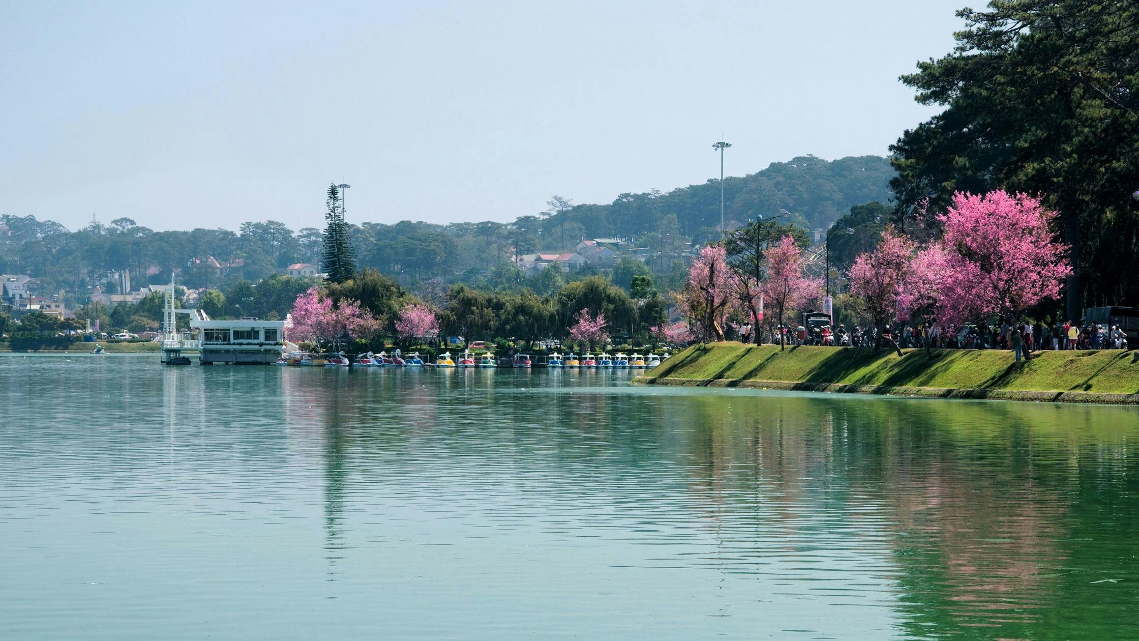 Dalat: The Romantic Highlands