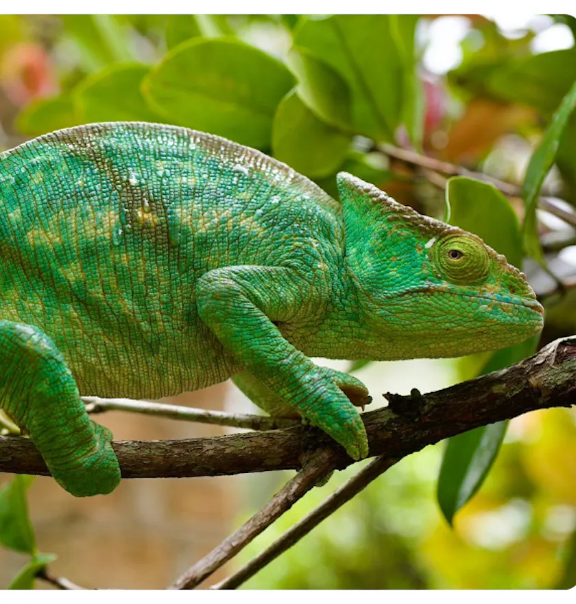 Diving Tour in Nosy Be Itinerary 2