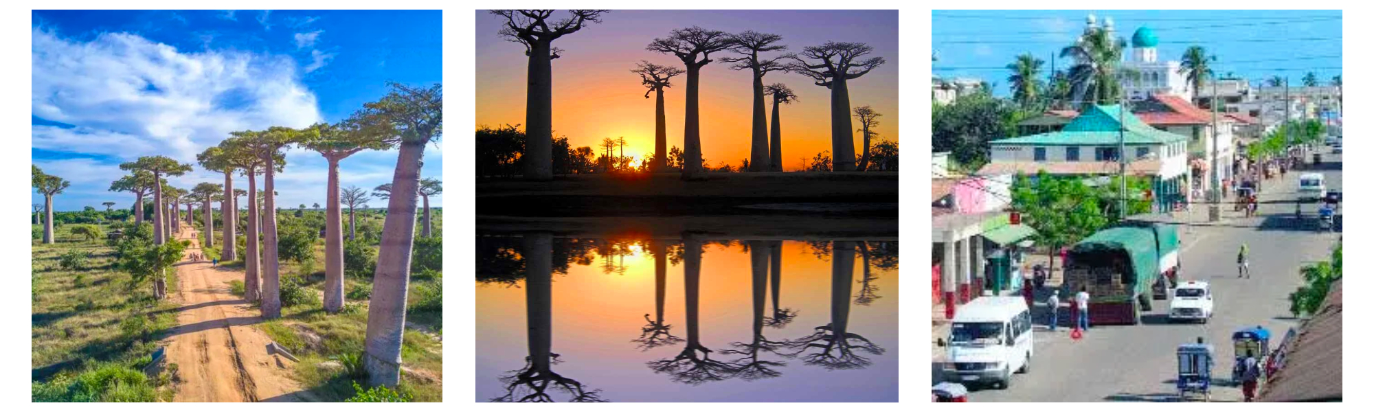 Tsiribihina River Trip & Tsingy and Baobab itinerary 8