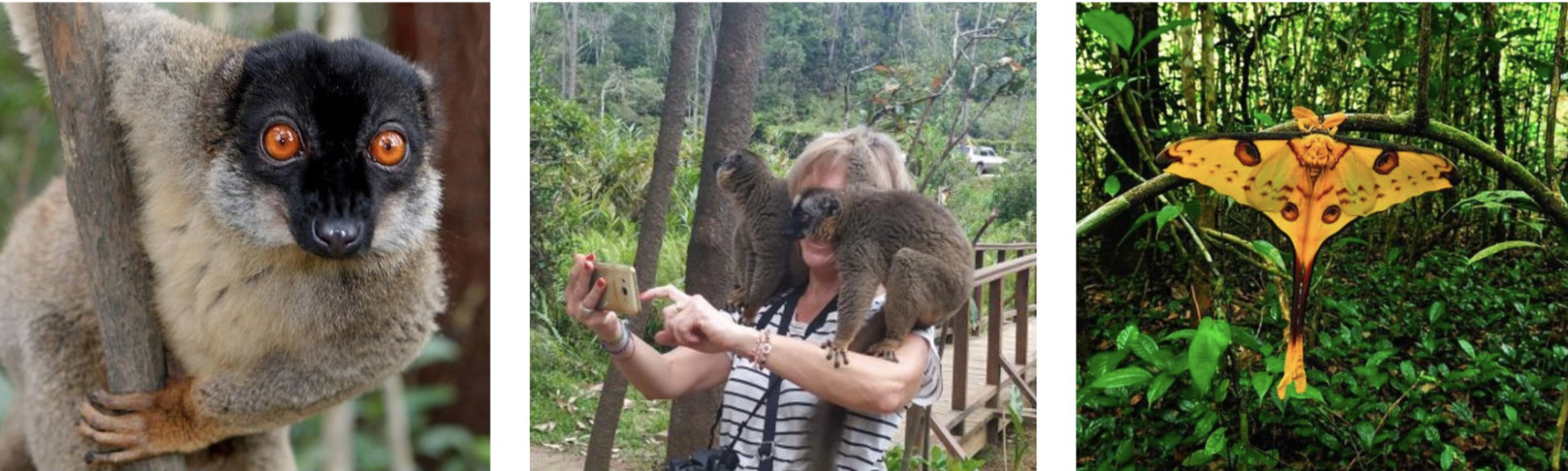 Rain Forest Birding Itinerary 6