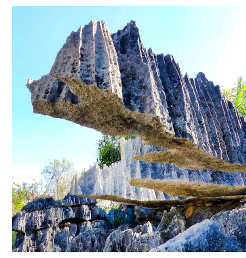 Baobab Safari Itinerary 5