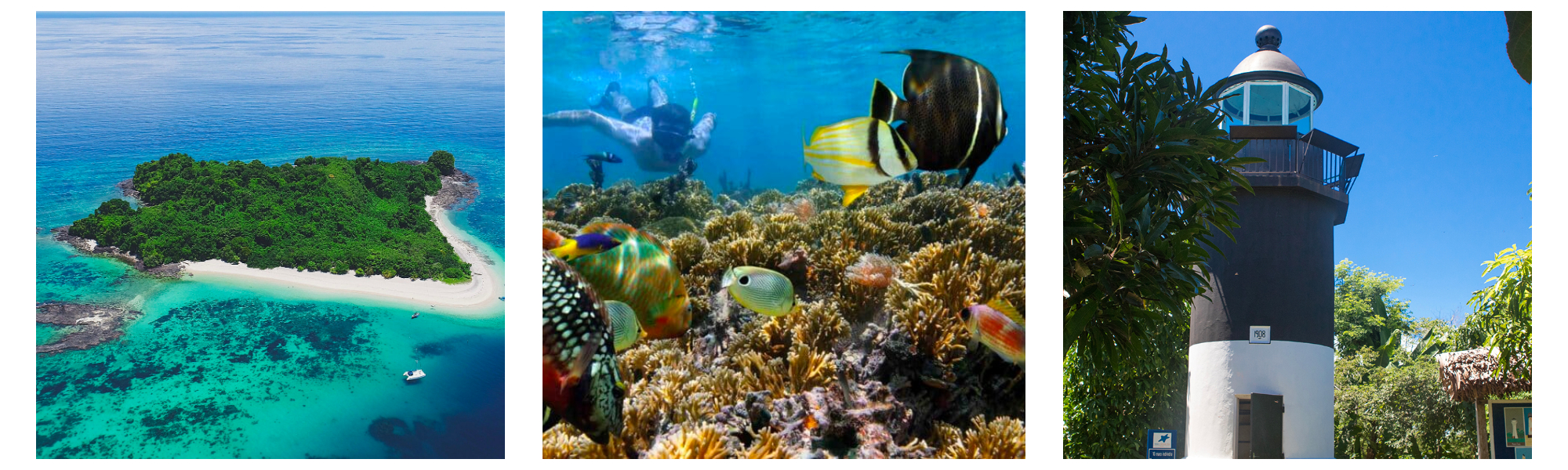 Diving Tour in Nosy Be Itinerary 6
