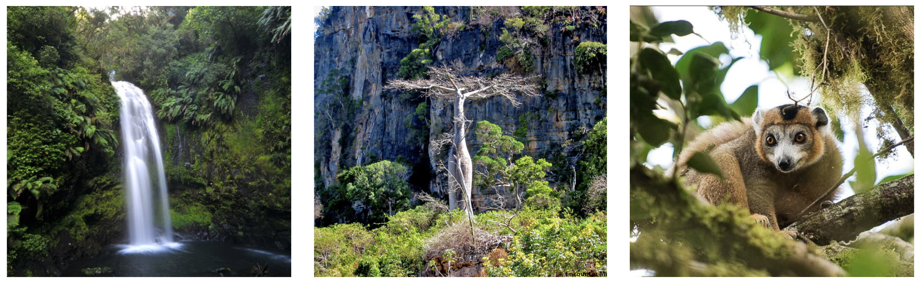 Mada Northern Safari Itinerary 2