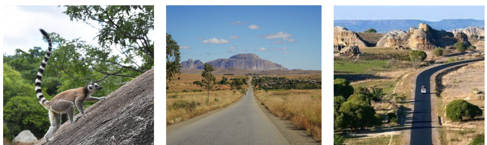 Mada Southern Safari Itinerary 7