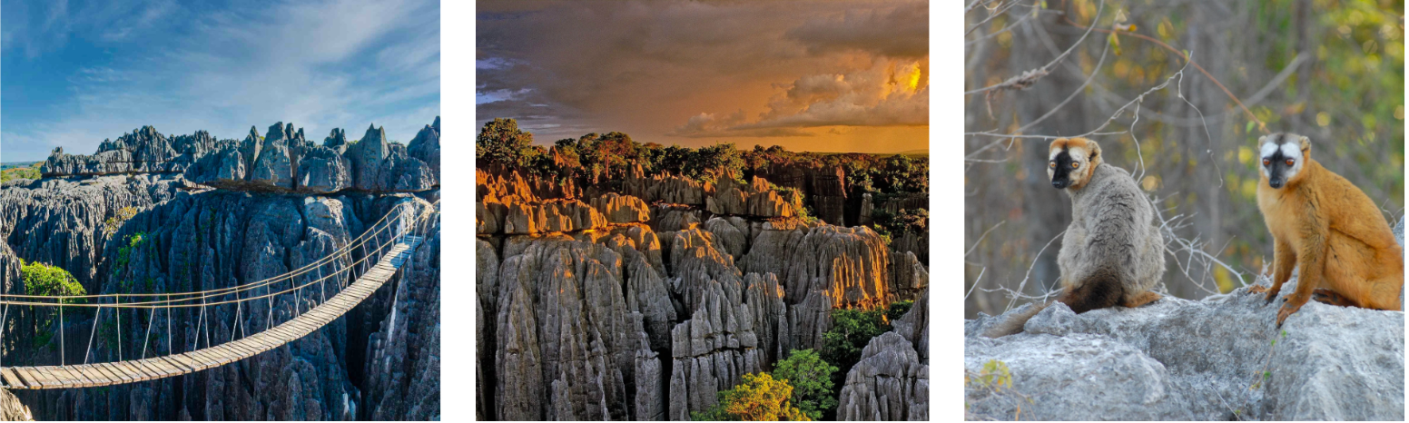 Tsiribihina River Trip & Tsingy and Baobab itinerary 7