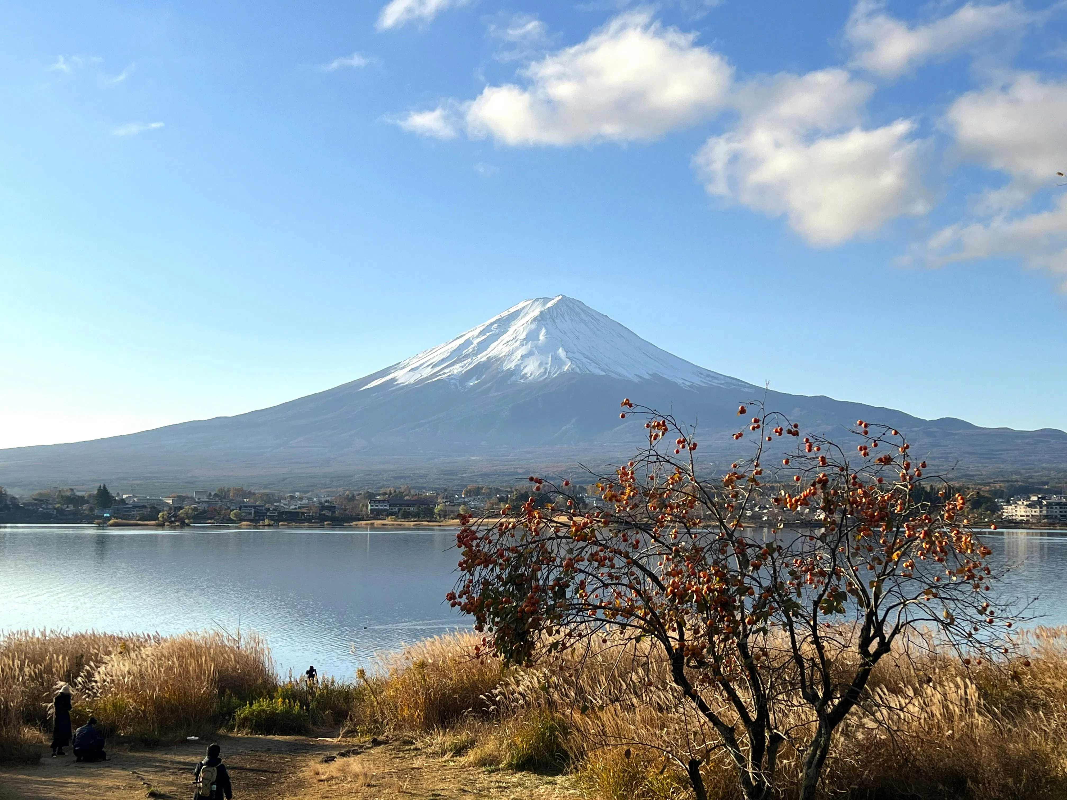 Mount Fuji & Lake Kawaguchi