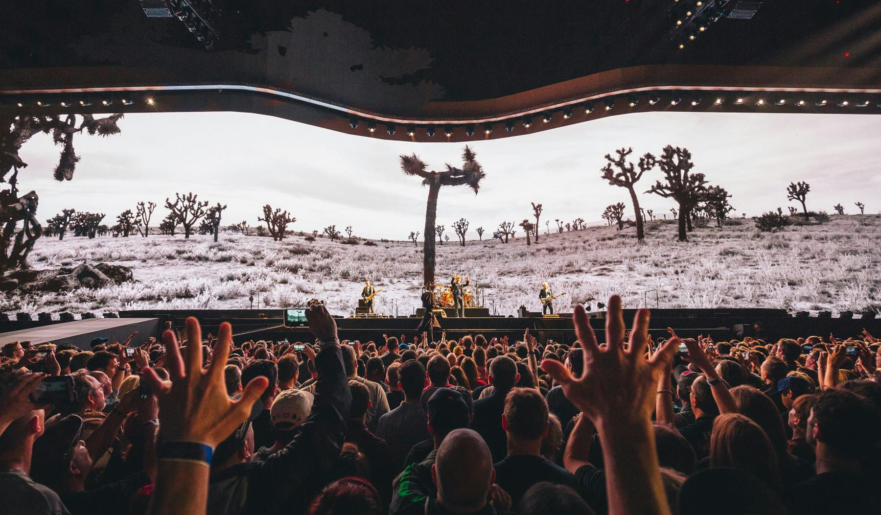 U2 Joshua Tree desert