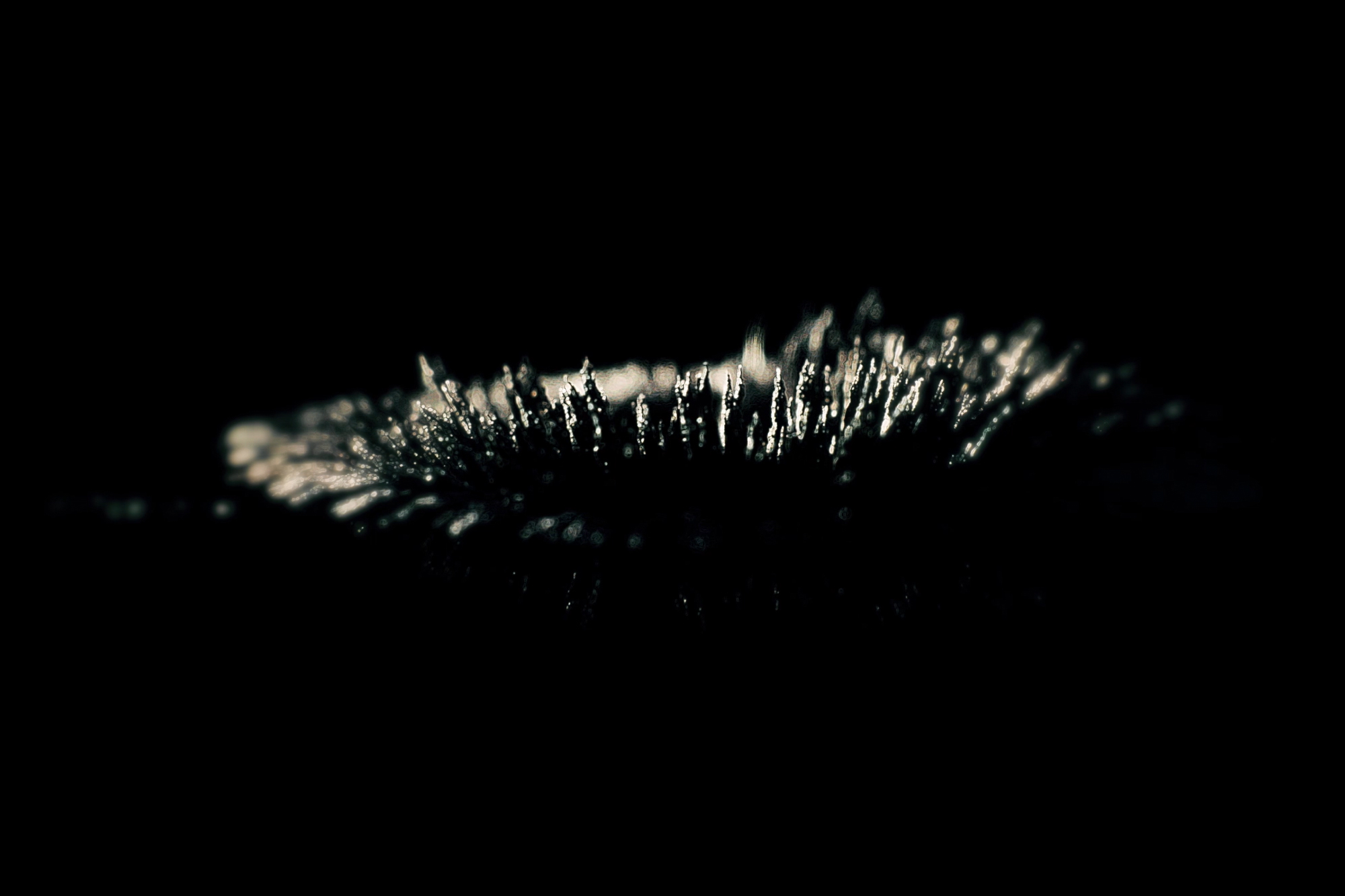 Sigur Ros Liminial main image 