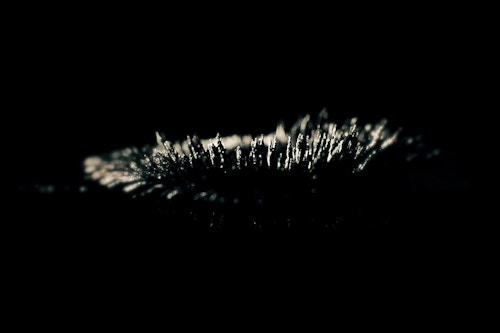 Sigur Ros Liminial main image