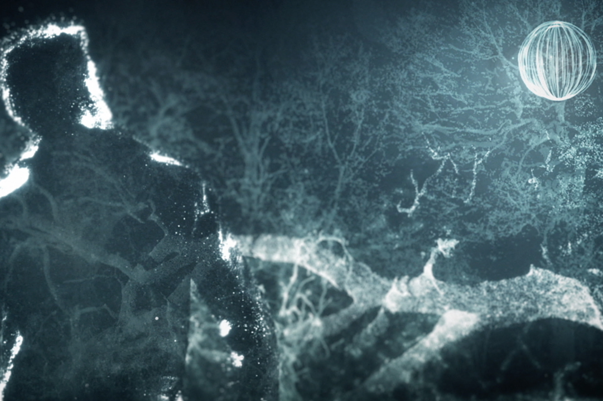 Shawn Mendes Illuminate main image