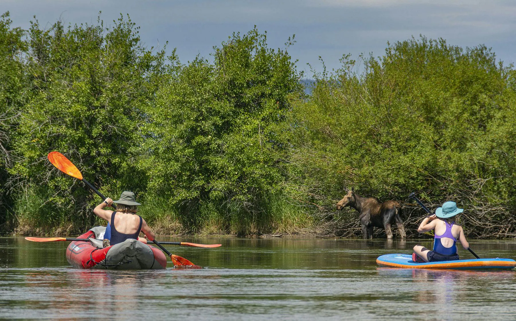 Women paddling on the Teton River