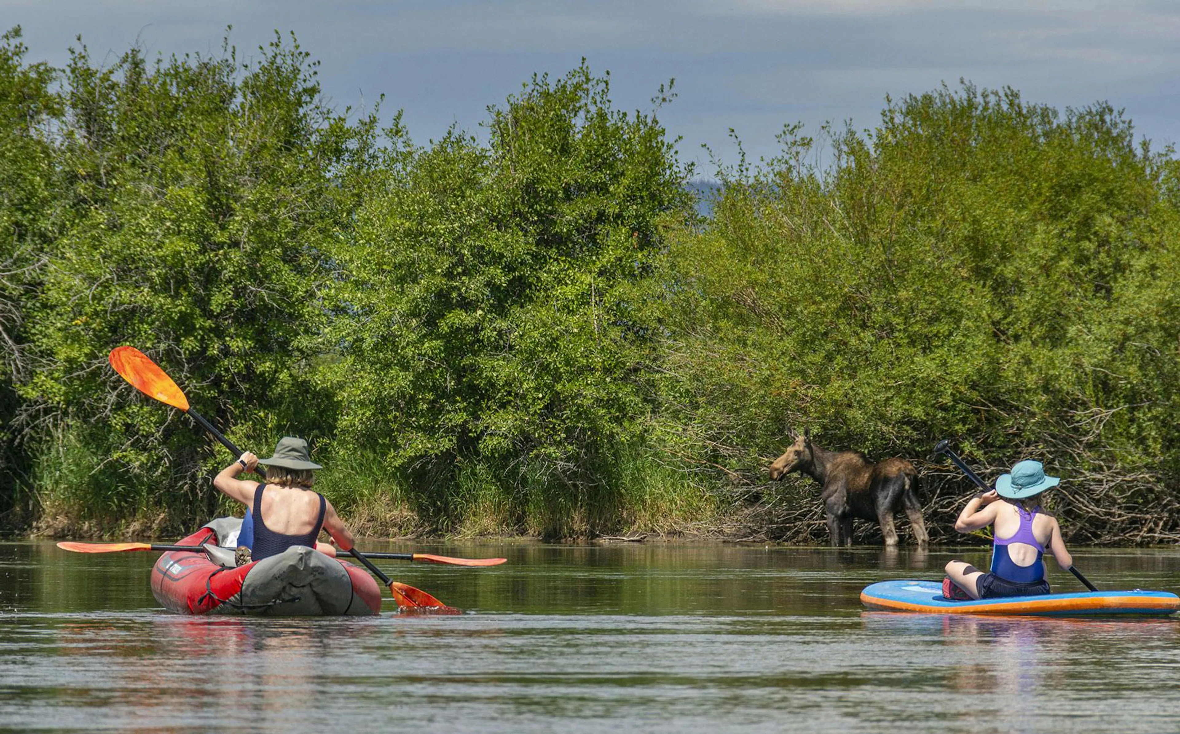 Women paddling on the Teton River