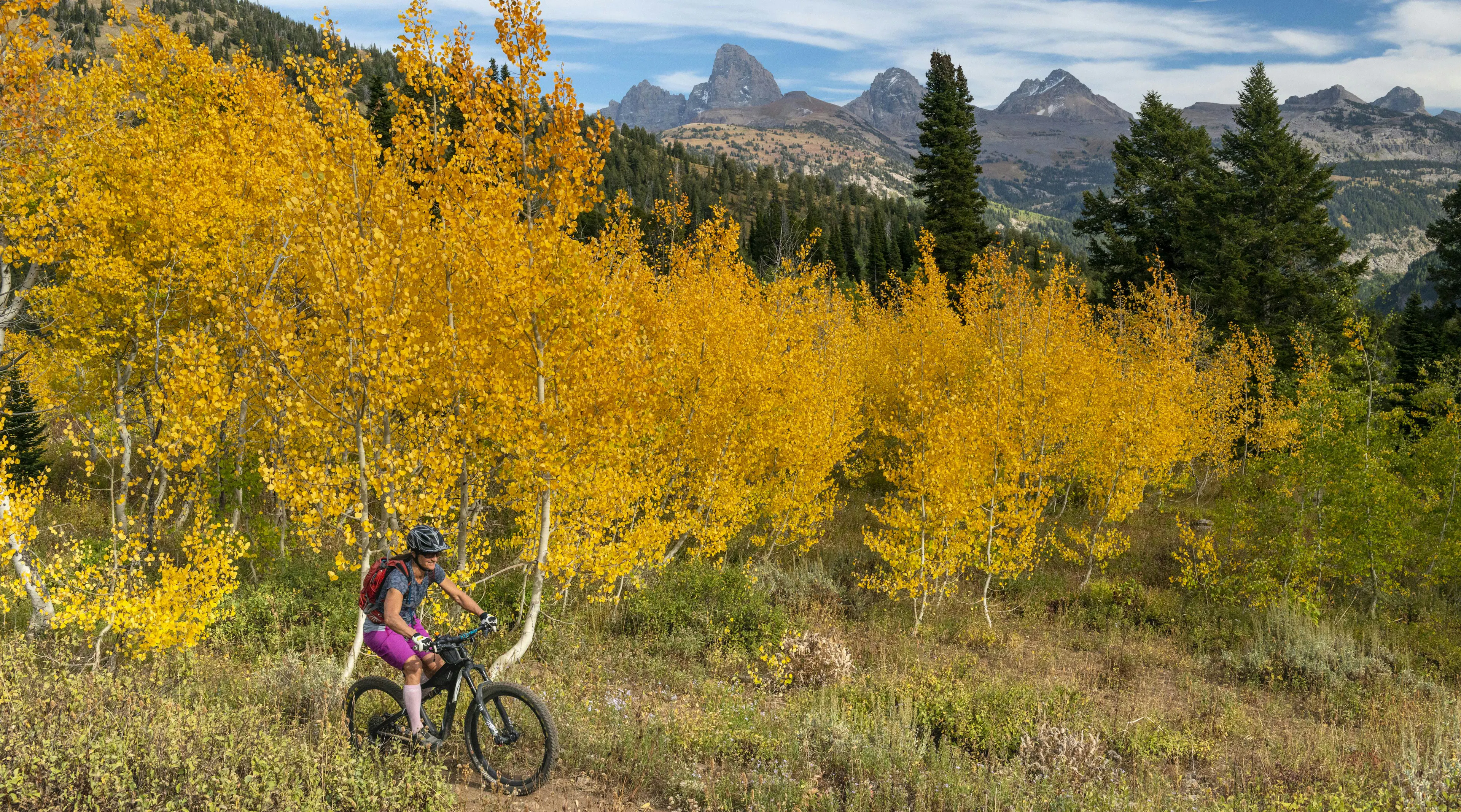 Riding mountain bikes in the autumn in Teton Valley, Idaho