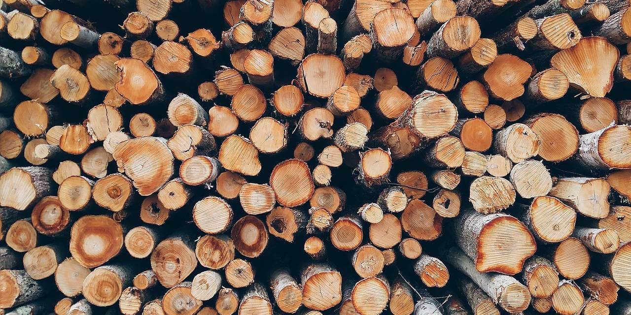 Biomass Log Boiler Fuel 