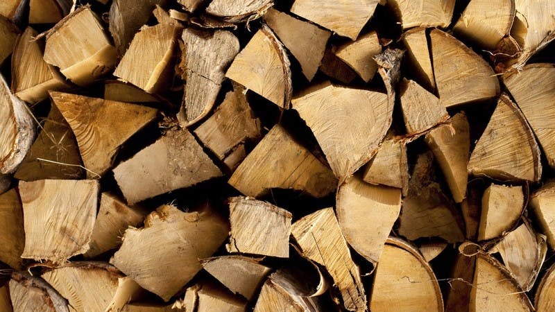 Logs for burning in a biomass boiler
