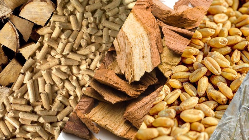 Different types of Biomass Fuel
