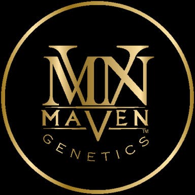 Maven Maven Logo