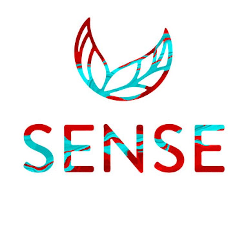 Sense Icon