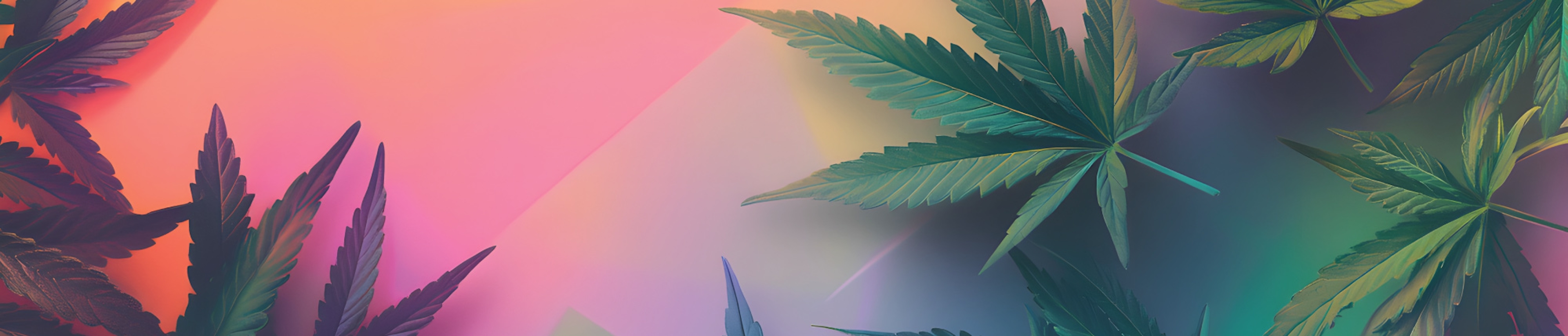 colorful banner featuring marijuana leaves