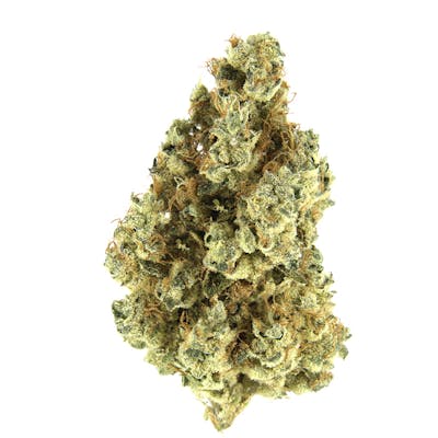 Maui Wowie courtesy of UpNorth