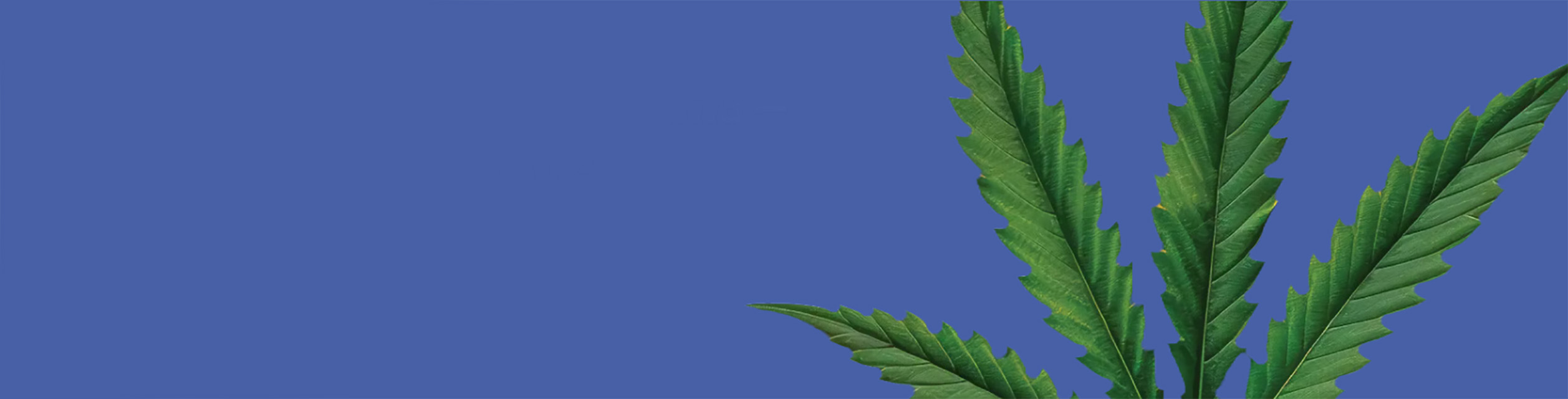 ☺︎ Difference between two thermostat part numbers?