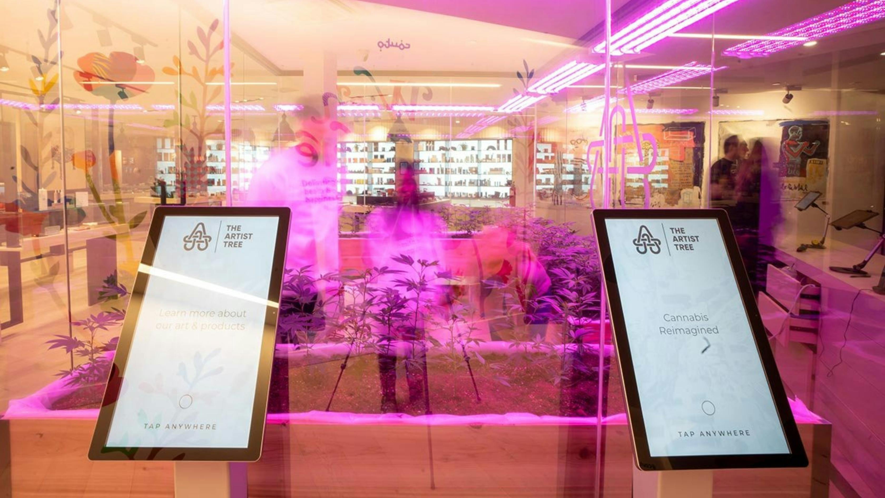 Two education tablets are shown with the dispensary's logo and messages like 
"learn more about our art and products" and "cannabis reimagined" - behind the tablets is a glass display case in the center of the dispensary, growing cannabis plants as customers look on
