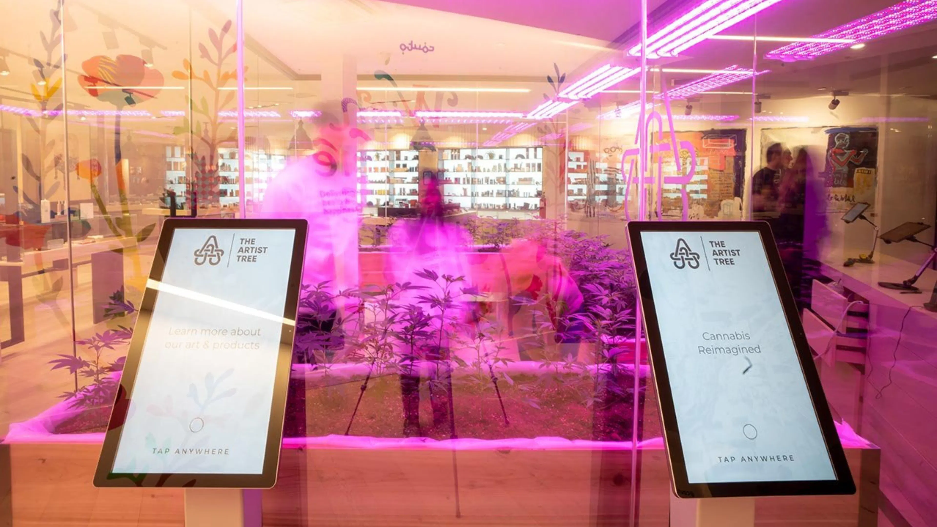Two education tablets are shown with the dispensary's logo and messages like
"learn more about our art and products" and "cannabis reimagined" - behind the tablets is a glass display case in the center of the dispensary, growing cannabis plants as customers look on