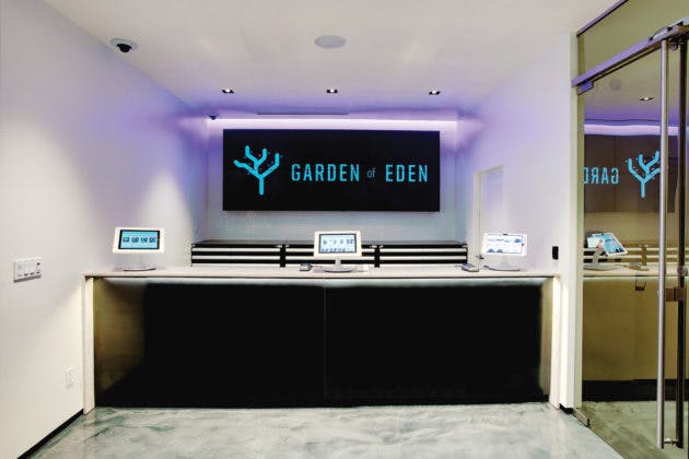 The counter of Garden of Eden dispensary is shown, with three tablets with Treez POS displayed