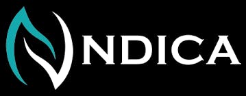The logo for NDICA, which features the letters for the association and a stylized pair of flames