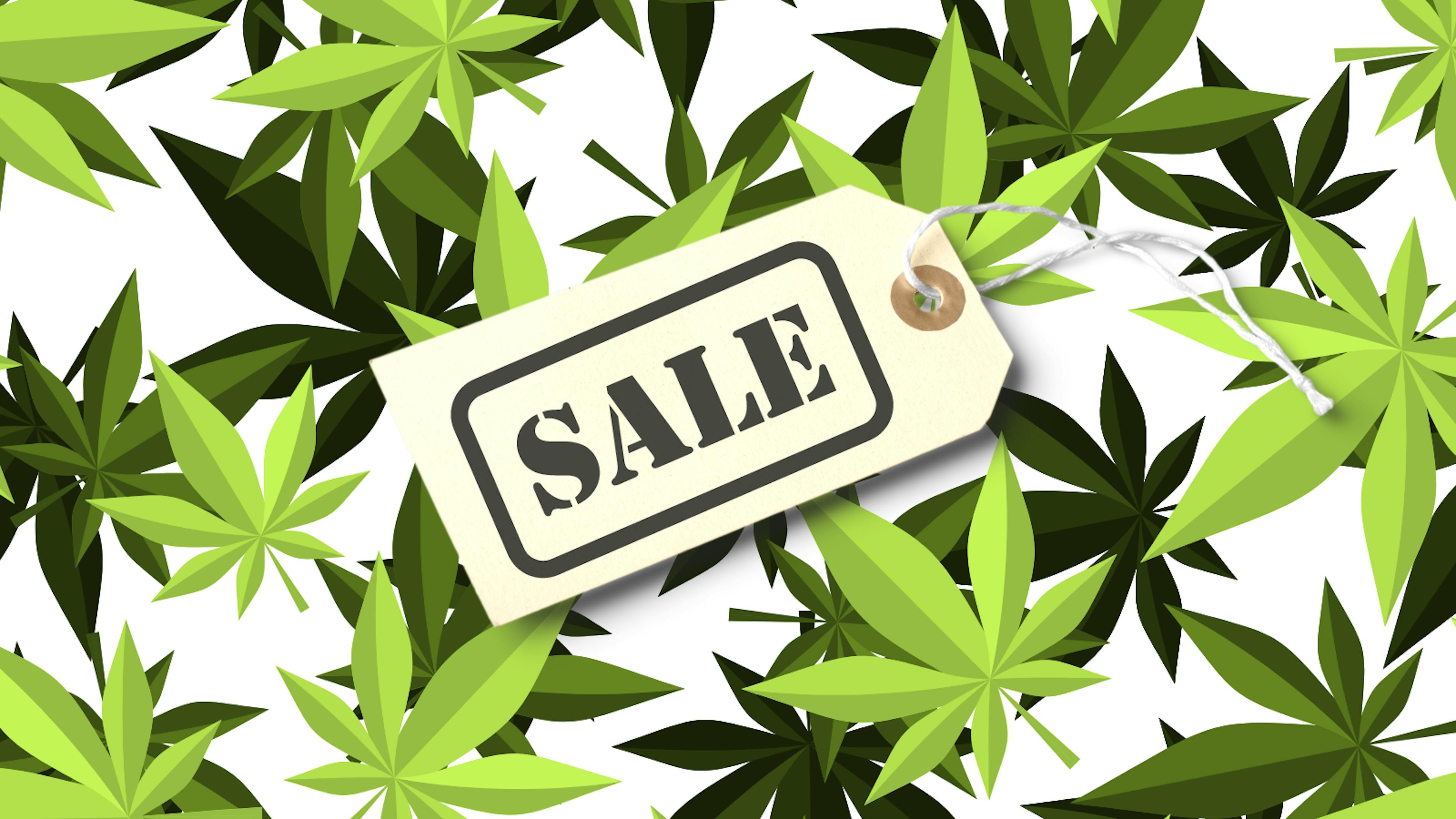 A sale tag hovers over cannabis leaves