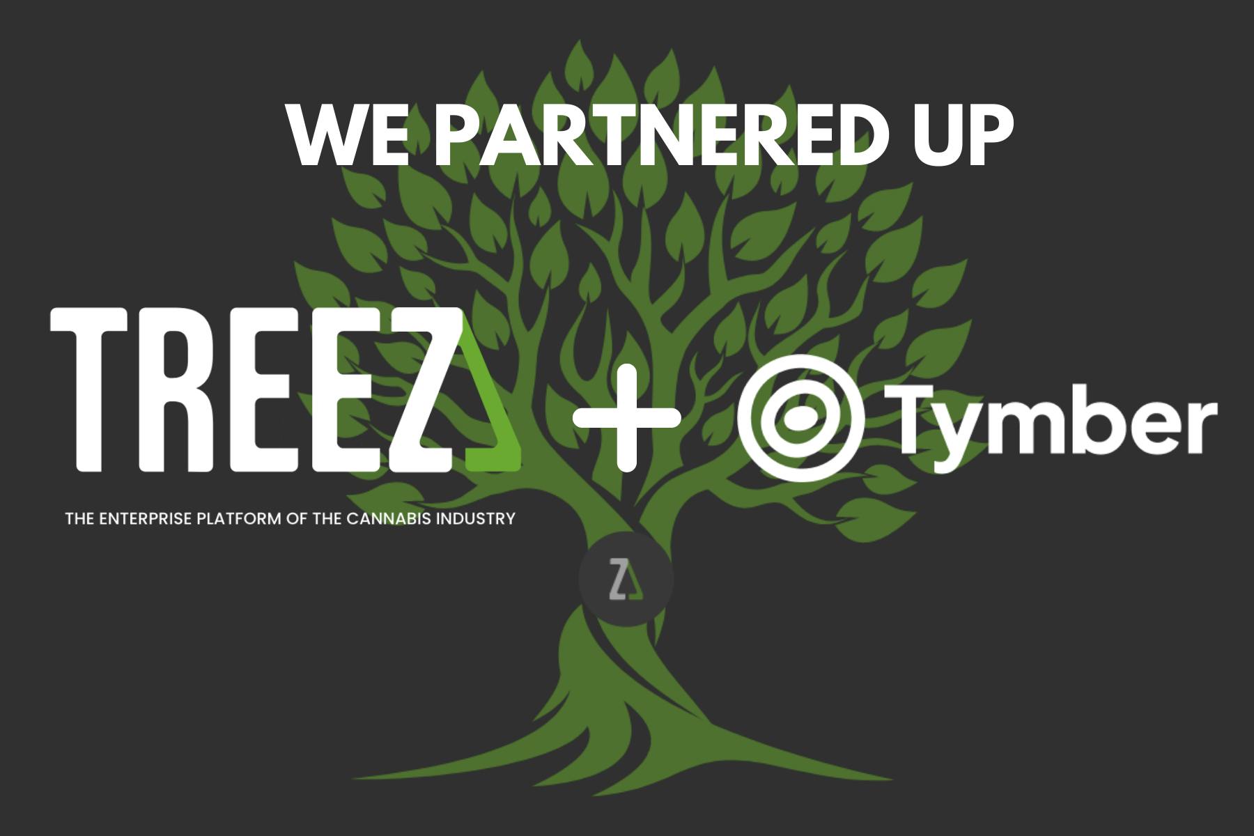 A visualization of a Tree on top of Treez plus Tymber