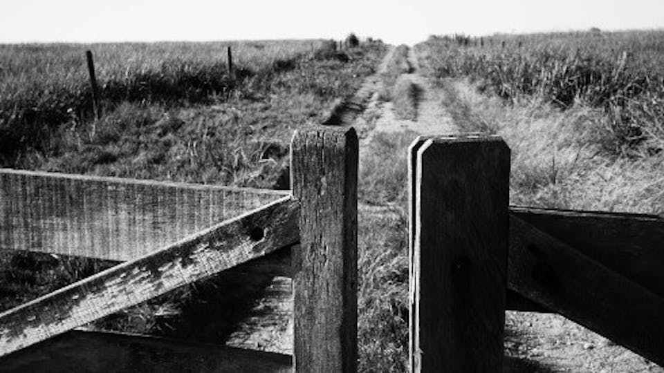 TFI Latin Filmmaker Workshops Stop In Brazil