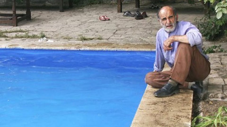 Reframe Spotlight: Pool Party