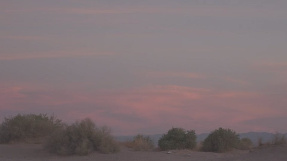 Untitled Criminal Justice High School Project