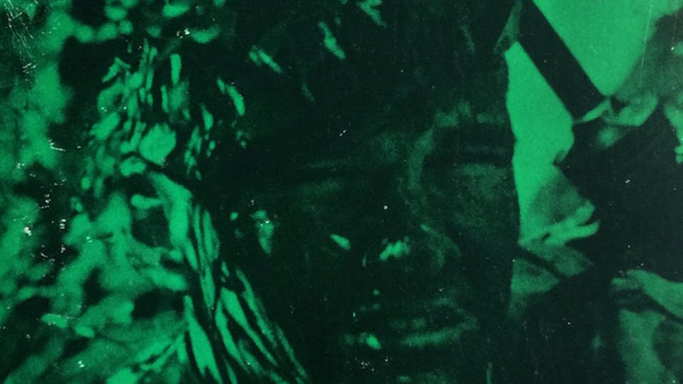 The Green Guerrillas