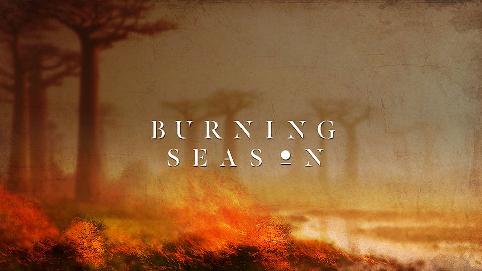 The Burning Season