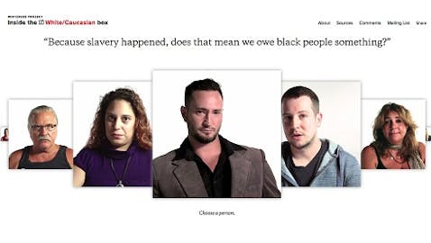 The Whiteness Project