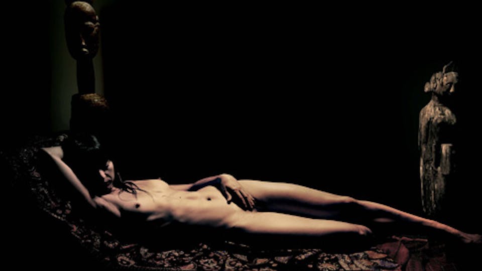 Reframe Spotlight: The Collection