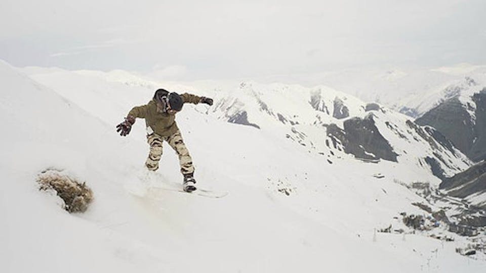 Boarders Without Borders