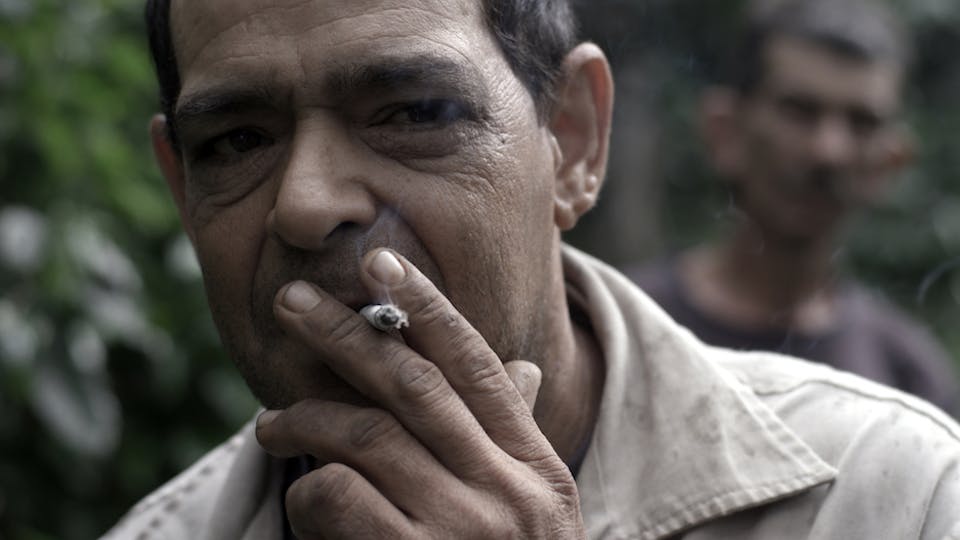 Man Between Dog and Wolf