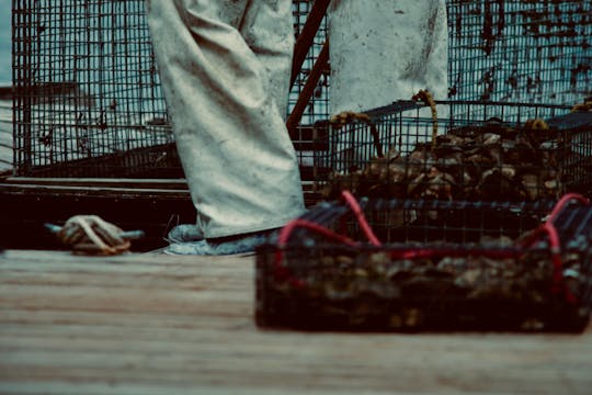 Clamming