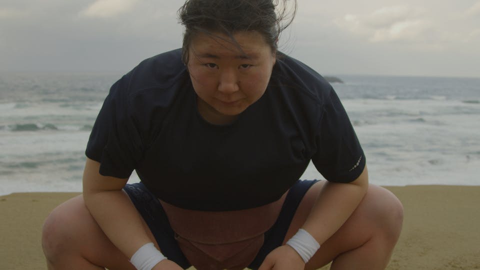 Little Miss Sumo