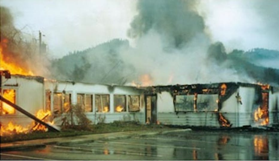 Weekly Roundup: January 29 - February 4, 2011